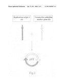 De novo synthesized plasmid, methods of making and use thereof diagram and image