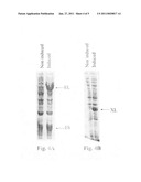 De novo synthesized plasmid, methods of making and use thereof diagram and image