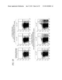 METHOD FOR DETECTION OF MICROORGANISM AND KIT FOR DETECTION OF MICROORGANISM diagram and image