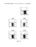 METHOD FOR DETECTION OF MICROORGANISM AND KIT FOR DETECTION OF MICROORGANISM diagram and image