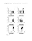 METHOD FOR DETECTION OF MICROORGANISM AND KIT FOR DETECTION OF MICROORGANISM diagram and image