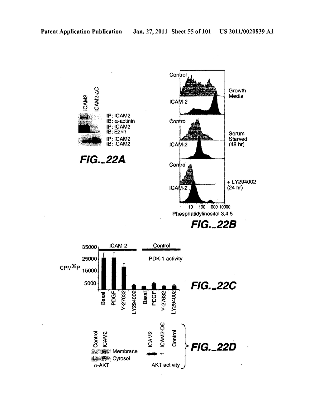 METHODS AND COMPOSITIONS FOR DETECTING THE ACTIVATION STATE OF MULTIPLE PROTEINS IN SINGLE CELLS - diagram, schematic, and image 56