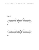 Constructs And Methods For Efficient Transformation Of Micro-Organisms For Production Of Carbon-Based Products Of Interest diagram and image