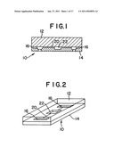 MESOSCALE POLYNUCLEOTIDE AMPLIFICATION DEVICES diagram and image