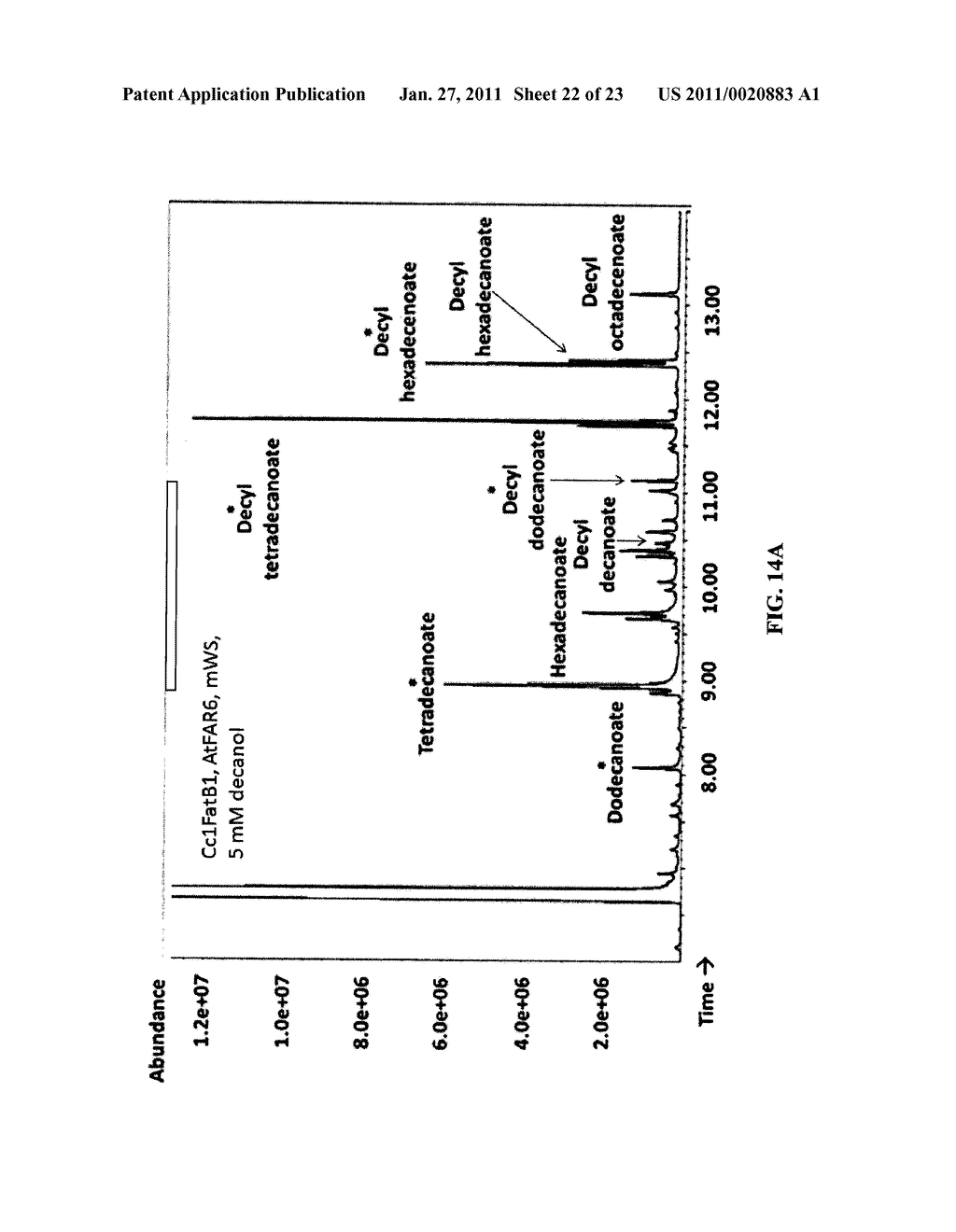 ACYL-ACP THIOESTERASE GENES AND USES THEREFOR - diagram, schematic, and image 23