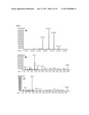 METHOD FOR PRODUCING POLYHYDROXYALKANOIC ACID diagram and image