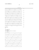 LACTOBACILLUS ACIDOPHILUS NUCLEIC ACID SEQUENCES ENCODING PROTEASE HOMOLOGUES AND USES THEREFORE diagram and image