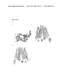 METHODS AND COMPOSITIONS FOR IMPROVING SUGAR TRANSPORT, MIXED SUGAR FERMENTATION, AND PRODUCTION OF BIOFUELS diagram and image