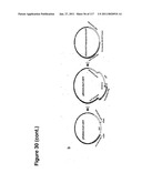 METHODS AND COMPOSITIONS FOR IMPROVING SUGAR TRANSPORT, MIXED SUGAR FERMENTATION, AND PRODUCTION OF BIOFUELS diagram and image