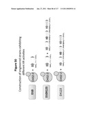 METHODS AND COMPOSITIONS FOR IMPROVING SUGAR TRANSPORT, MIXED SUGAR FERMENTATION, AND PRODUCTION OF BIOFUELS diagram and image