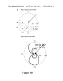 CONVERSION OF JUST-CONTINUOUS METALLIC FILMS TO LARGE PARTICULATE SUBSTRATES FOR METAL-ENHANCED FLUORESCENCE diagram and image