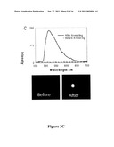 CONVERSION OF JUST-CONTINUOUS METALLIC FILMS TO LARGE PARTICULATE SUBSTRATES FOR METAL-ENHANCED FLUORESCENCE diagram and image