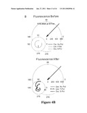 CONVERSION OF JUST-CONTINUOUS METALLIC FILMS TO LARGE PARTICULATE SUBSTRATES FOR METAL-ENHANCED FLUORESCENCE diagram and image