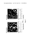 CONVERSION OF JUST-CONTINUOUS METALLIC FILMS TO LARGE PARTICULATE SUBSTRATES FOR METAL-ENHANCED FLUORESCENCE diagram and image