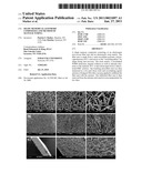 Shape Memory Elastomeric Composites and Method of Manufacturing diagram and image