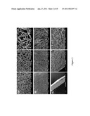 Shape Memory Elastomeric Composites and Method of Manufacturing diagram and image