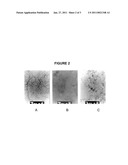 CARBON NANOTUBE BINDING PEPTIDES diagram and image