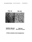 DITHIOCARBAMATES AND PHOSPHITE FORMULATIONS diagram and image