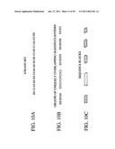 Novel oligonucleotide arrays and their use for sorting, isolating, sequencing, and manipulating nucleic acids diagram and image