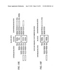 Novel oligonucleotide arrays and their use for sorting, isolating, sequencing, and manipulating nucleic acids diagram and image