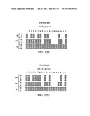 Novel oligonucleotide arrays and their use for sorting, isolating, sequencing, and manipulating nucleic acids diagram and image