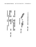 Novel oligonucleotide arrays and their use for sorting, isolating, sequencing, and manipulating nucleic acids diagram and image