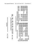 Novel oligonucleotide arrays and their use for sorting, isolating, sequencing, and manipulating nucleic acids diagram and image