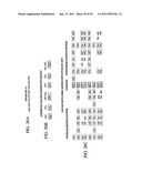 Novel oligonucleotide arrays and their use for sorting, isolating, sequencing, and manipulating nucleic acids diagram and image