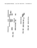 Novel oligonucleotide arrays and their use for sorting, isolating, sequencing, and manipulating nucleic acids diagram and image