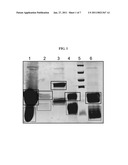 DIAGNOSIS AND MONITORING OF MYCOBACTERIUM TUBERCULOSIS INFECTION diagram and image