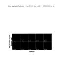 SINGLE CELL BASED REPORTER ASSAY TO MONITOR GENE EXPRESSION PATTERNS WITH HIGH SPATIO-TEMPORAL RESOLUTION diagram and image