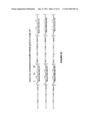 SINGLE CELL BASED REPORTER ASSAY TO MONITOR GENE EXPRESSION PATTERNS WITH HIGH SPATIO-TEMPORAL RESOLUTION diagram and image