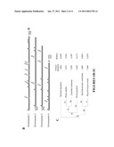 NUCLEIC ACIDS OF PICHIA PASTORIS AND USE THEREOF FOR RECOMBINANT PRODUCTION OF PROTEINS diagram and image