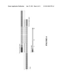 NUCLEIC ACIDS OF PICHIA PASTORIS AND USE THEREOF FOR RECOMBINANT PRODUCTION OF PROTEINS diagram and image