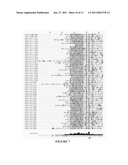 NUCLEIC ACIDS OF PICHIA PASTORIS AND USE THEREOF FOR RECOMBINANT PRODUCTION OF PROTEINS diagram and image