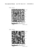 Method for immobilizing self-organizing material or fine particle on substrate, and substrate manufactured by using such method diagram and image