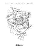 APPARATUSES FOR REAL-TIME, SINGLE MOLECULE SEQUENCE DETERMINATION diagram and image