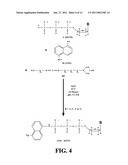 APPARATUSES FOR REAL-TIME, SINGLE MOLECULE SEQUENCE DETERMINATION diagram and image