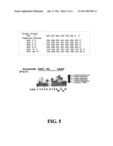 APPARATUSES FOR REAL-TIME, SINGLE MOLECULE SEQUENCE DETERMINATION diagram and image