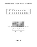 APPARATUSES FOR REAL-TIME, SINGLE MOLECULE SEQUENCE DETERMINATION diagram and image