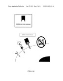 COMPOSITIONS, METHODS AND USES FOR TREATING BACTERIAL INFECTIONS diagram and image