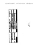 Methods and Compositions for the Treatment of Heart Failure and Other Disorders diagram and image