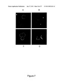 POLYPEPTIDE DERIVED FROM PROTEIN A AND ABLE TO BIND PDGF diagram and image