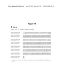 Renoprotection by growth hormone-releasing hormone and agonists diagram and image