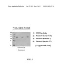 MANUFACTURE OF FACTOR H (FH) AND FH-DERIVATIVES FROM PLASMA diagram and image