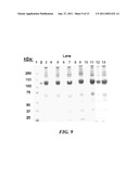 MANUFACTURE OF FACTOR H (FH) AND FH-DERIVATIVES FROM PLASMA diagram and image