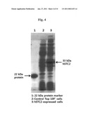 COMPOSITION FOR PREVENTING OR TREATING BRAIN DISEASES diagram and image