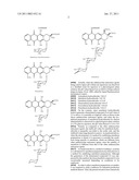 LYOPHILIZED PREPARATION OF STABILIZED ANTHRACYCLINE COMPOUNDS diagram and image