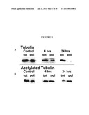 METHODS FOR NUCLEIC ACID TRANSFER INTO CELLS diagram and image