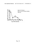 EFFICIENT CELL CULTURE SYSTEM FOR HEPATITIS C VIRUS GENOTYPE 5A diagram and image